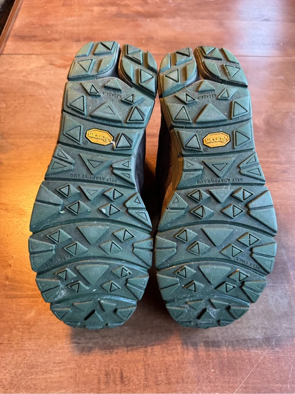Danner Mountain 600 Boots